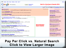 pay per click vs. natural search listings